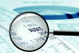 Auditing Support Services