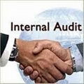 Internal Audit Services 1