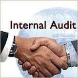 Internal Audit Services