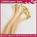 Chinese virgin hair two tone clip in hair extension in stock