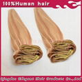 Chinese virgin hair two tone clip in hair extension in stock 4