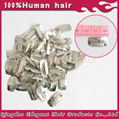 Cheap metal hair clips for wig/toupee/hair extension 5