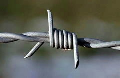 Barbed wire