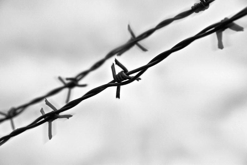 Barbed wire 2