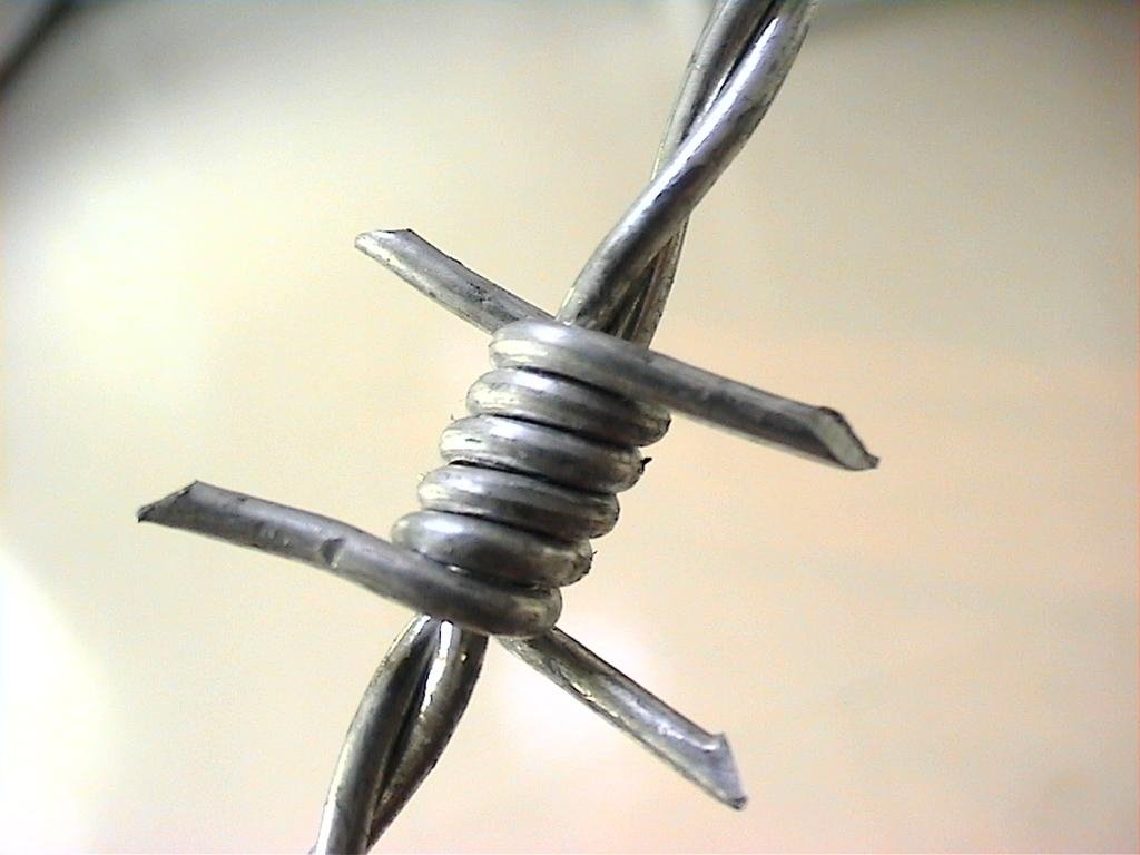 Barbed wire 4