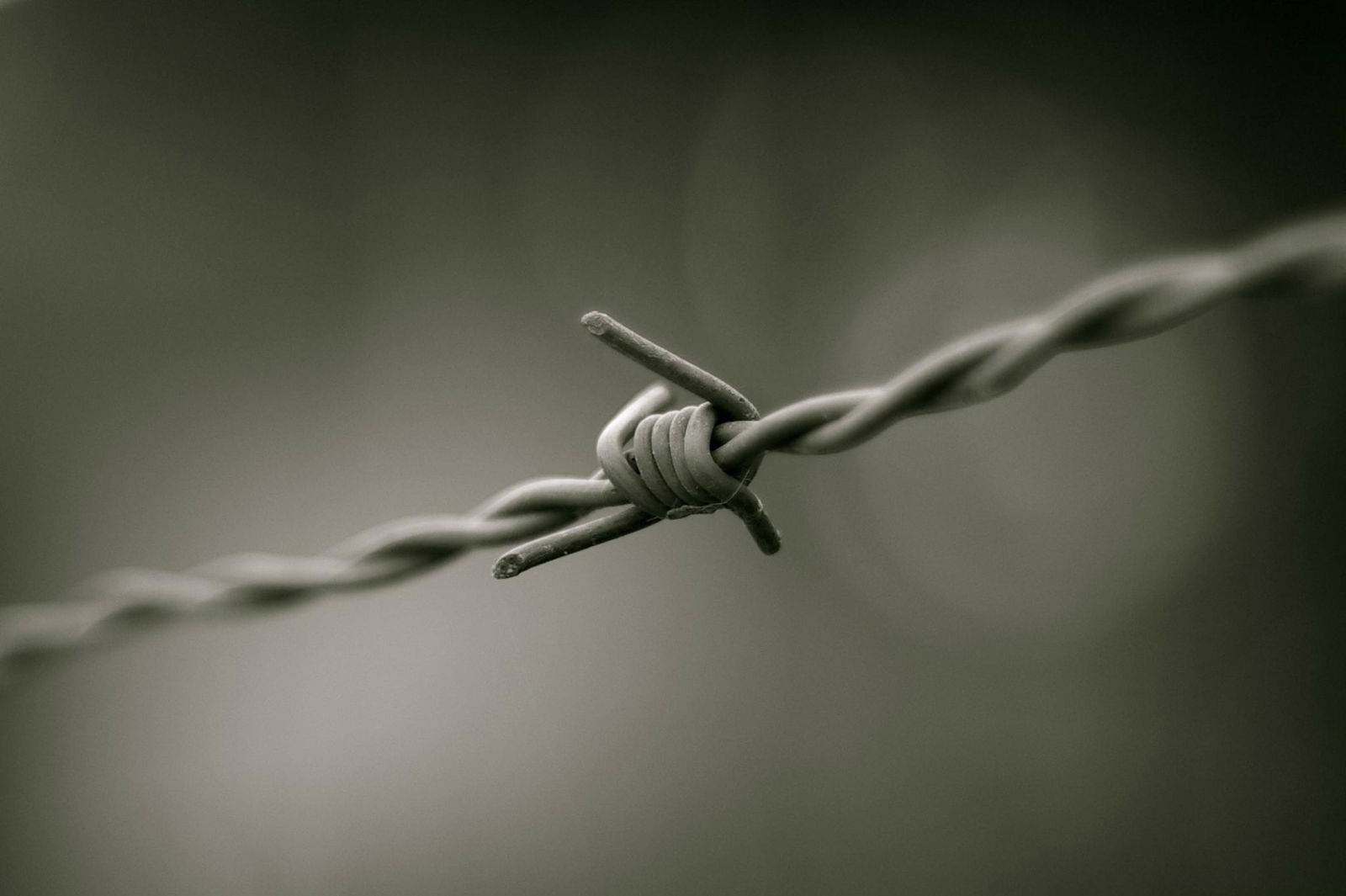 Barbed wire 5