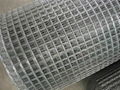 welded wire mesh  3