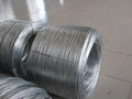 galvanized wire 2