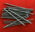 Common wire nail 5