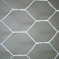 Hexagonal wire mesh 1