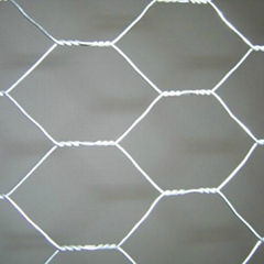 Hexagonal wire mesh