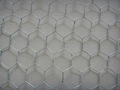 Hexagonal wire mesh 2