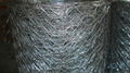 Hexagonal wire mesh 4