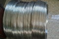 Stainless Steel Wire 2