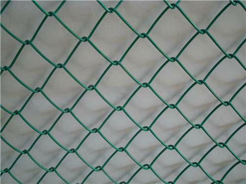 Chain Link wire mesh