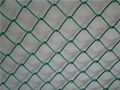 Chain Link wire mesh 1