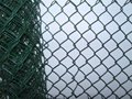 Chain Link wire mesh 5
