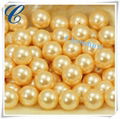 Bright color pearls to decorate clothing 1