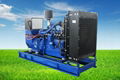 Natural gas generator