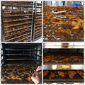 kinkai food dehydrator machine for fruit 2