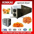 Digital controller fruit dryer machine