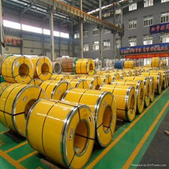 Foshan 304 grade tisco stainless steel coil 