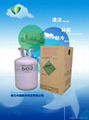 REFRIGERANT GAS  R-502  1