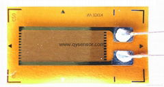 Strain gauge AA for high accuracy