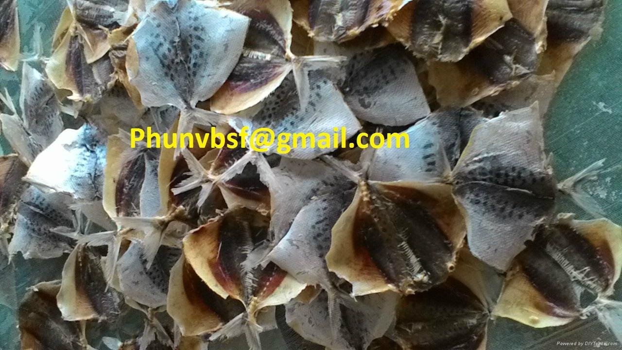 Dried moonfish fillet
