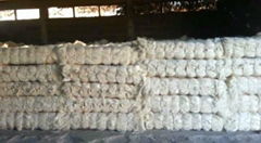 Raw Sisal Fiber 