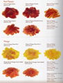 Dehydrated Fruits 3