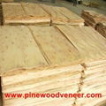 Vietnam eucalyptus core veneer