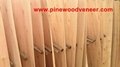 Eucalyptus core veneer -pinewoodveneer()com 1