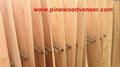 Eucalyptus core veneer -pinewoodveneer()com