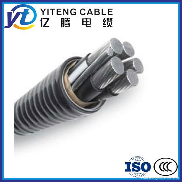  Armored Aluminum Alloy Cables0.6/1kV