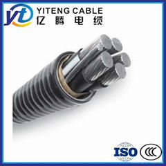 Armored Aluminum Alloy Cables0.6/1kV