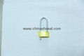 CHOCOLATE TYPE PADLOCK SECURITY SEAL 1