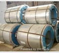 Galvanized Steel Coils