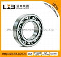 Deep Groove Ball Bearing 5