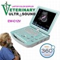 Veterinary Color Doppler Ultrasound Imaging System EW-C12V 1