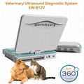 Veterinary Digital Ultrasonic Diagnostic