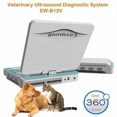 Veterinary Digital Ultrasonic Diagnostic Imaging System EW-B12V