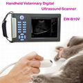 Veterinary Digital Ultrasound Diagnostic