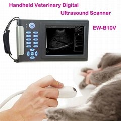 Veterinary Digital Ultrasound Diagnostic System EW-B10V