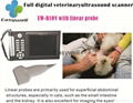 Low cost veterinary ultrasound scanner EW-B10V with Linear probe for small anima