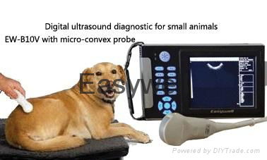 Handheld Veterinary ultrasound scanner EW-B10V with Micro-Convex probe C5R10 for