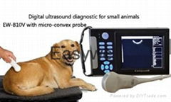 Handheld Veterinary ultrasound scanner