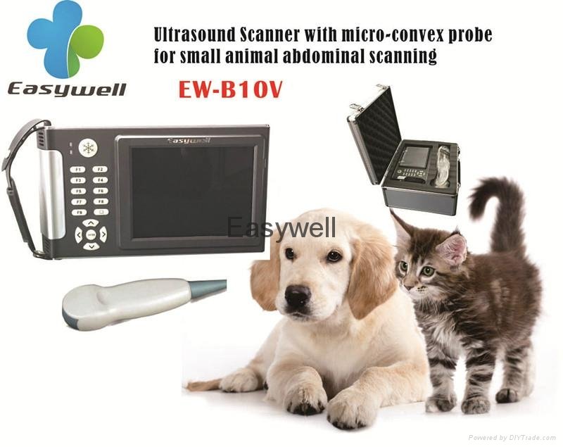 Handheld Veterinary ultrasound scanner EW-B10V with Micro-Convex probe C5R10 for 4