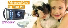 Cheapest Veterinary ultrasound scanner EW-B10V with Convex probe C3.5R60 for Abd