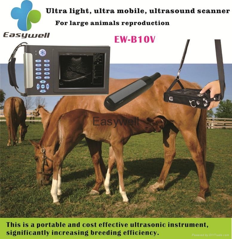 Rectal ultrasound-Testing pregnancy for big animals Veterinary handheld ultrasou 5